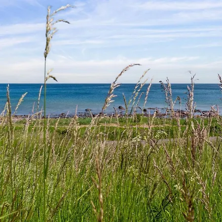 Ayo - 75m From The Sea By Interhome Apartment